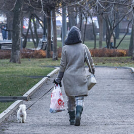 В Московский регион могут прийти первые осенние заморозки в выходные