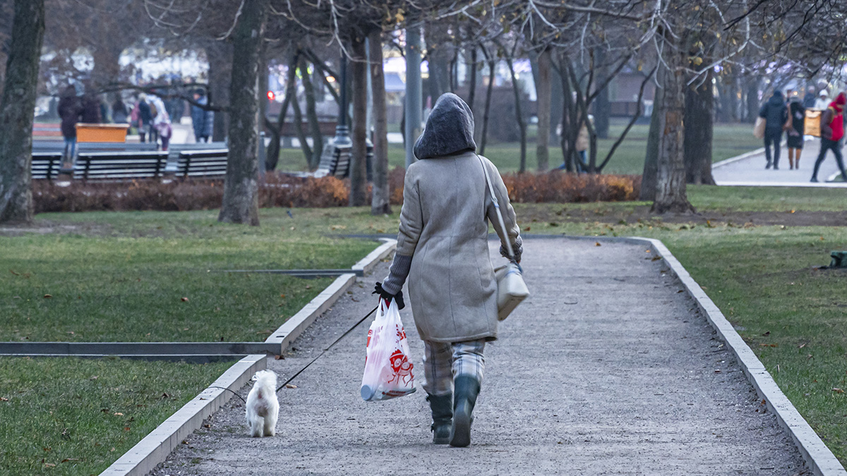 Жителей ряда регионов РФ предупредили о резких заморозках
