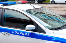 В Москве неизвестный наехал на пешеходов на переходе: 5 пострадавших, в том числе 2 ребенка