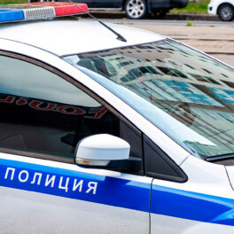 В Москве неизвестный наехал на пешеходов на переходе: 5 пострадавших, в том числе 2 ребенка