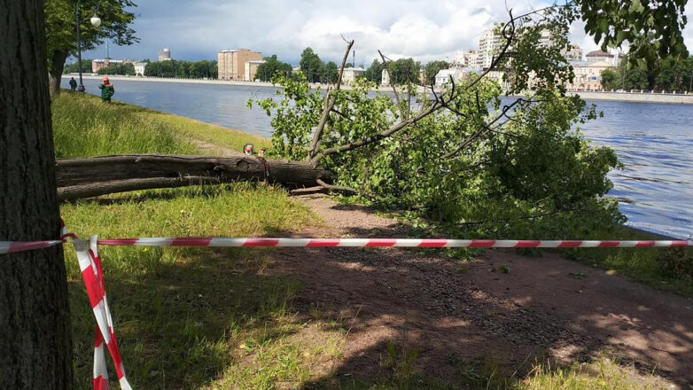 Циклон "Кийан" принесет в Петербург дожди и штормовой ветер