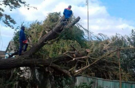 В Дагестане более 100 тысяч человек остались без электричества