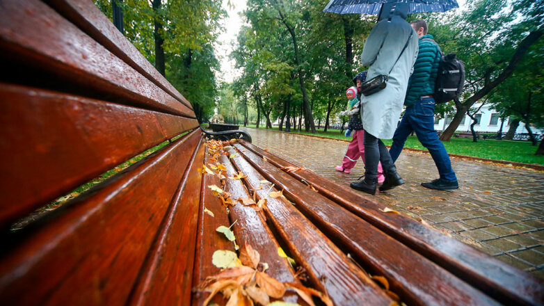 Синоптики рассказали, какая погода ждет москвичей в пятницу
