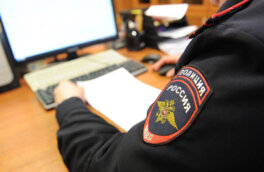 Полиция рассказала о подростке, стрелявшем рядом со школой в Москве