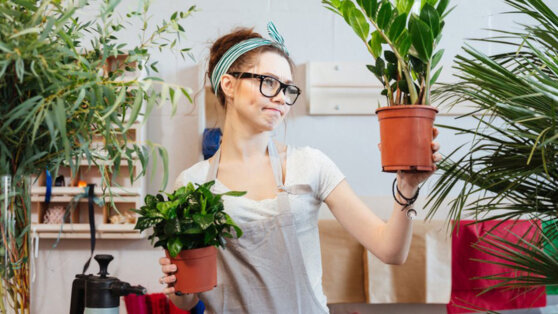 Как помочь комнатным растениям весной: советы агронома