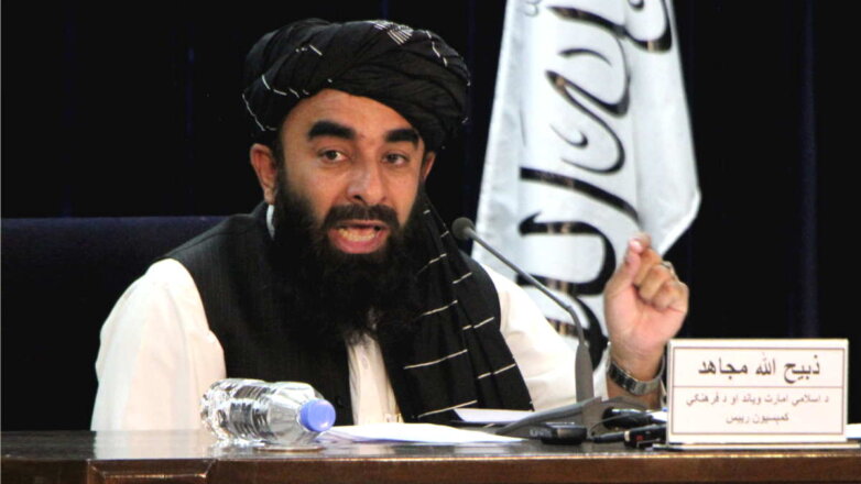 "Талибан" сообщил о договоренностях с Узбекистаном по решению совместных вопросов