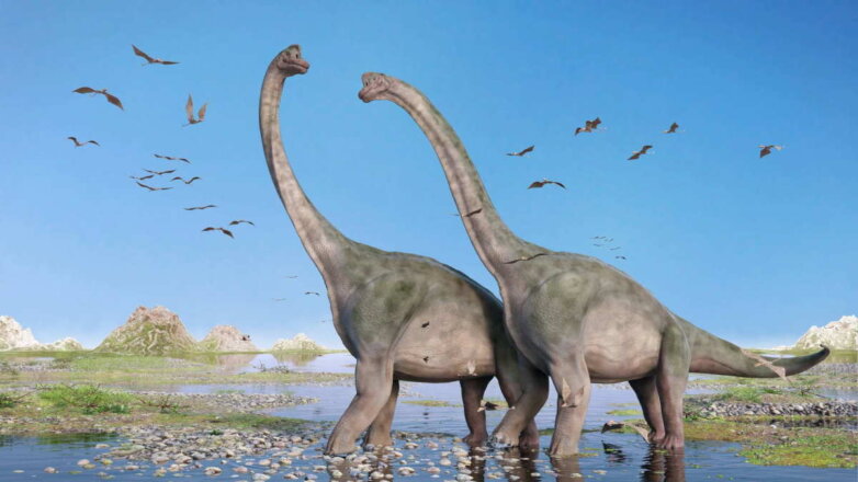 Ученые выяснили новые факты о том, как жили динозавры 193 млн лет назад