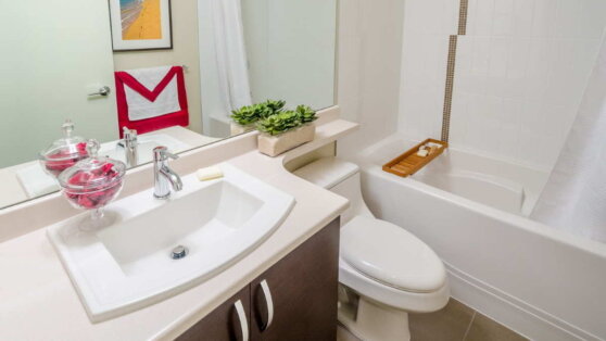 Как обустроить совмещенный санузел: 4 хитрости от дизайнеров