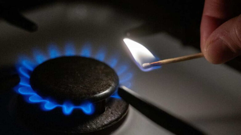 Новак назвал "хайпом" призывы европейских политиков отказаться от газа