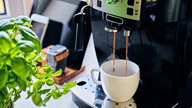 Кофеварка или кофемашина: в чем разница и как выбрать