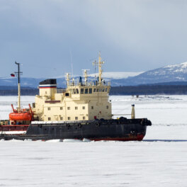 Азиатские члены БРИКС и ШОС заинтересованы в сотрудничестве с РФ в Арктике