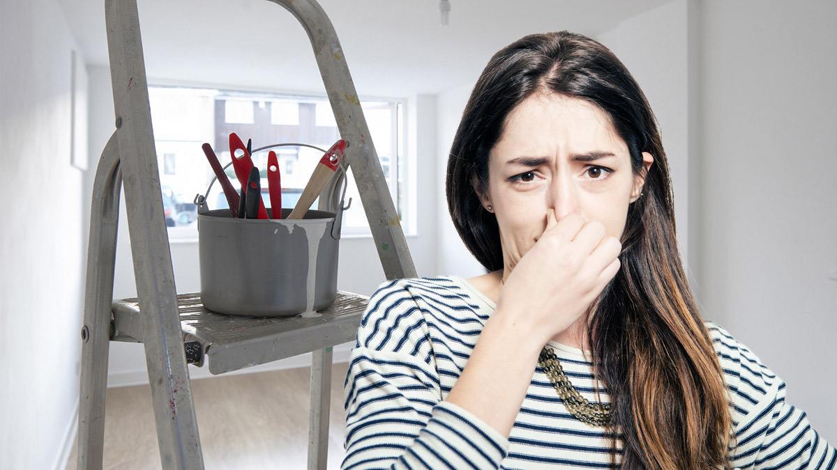 Как избавиться от запаха краски после ремонта: пять простых советов