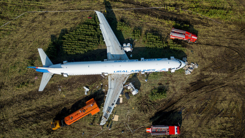 Аварийно севший в кукурузном поле в Подмосковье самолет оказался никому не нужен