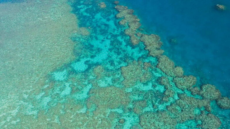 Изменение климата обесцветило Большой Барьерный риф