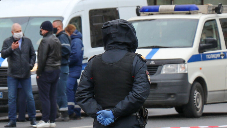 СК начал проверку после сообщений о нападении в Новой Москве на мужчину с ребенком