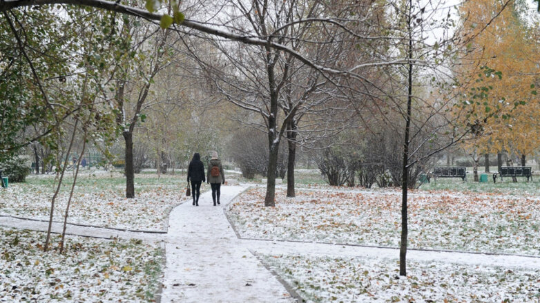 Вильфанд: москвичам пока не стоит опасаться установления снежного покрова
