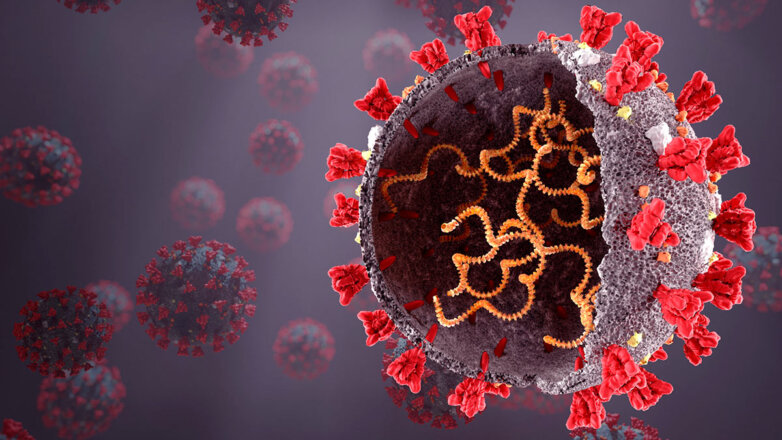 "Русский" вариант дельта-штамма коронавируса получил официальное название