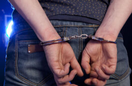 Задержаны подозреваемые в убийстве семерых человек в Херсонской области