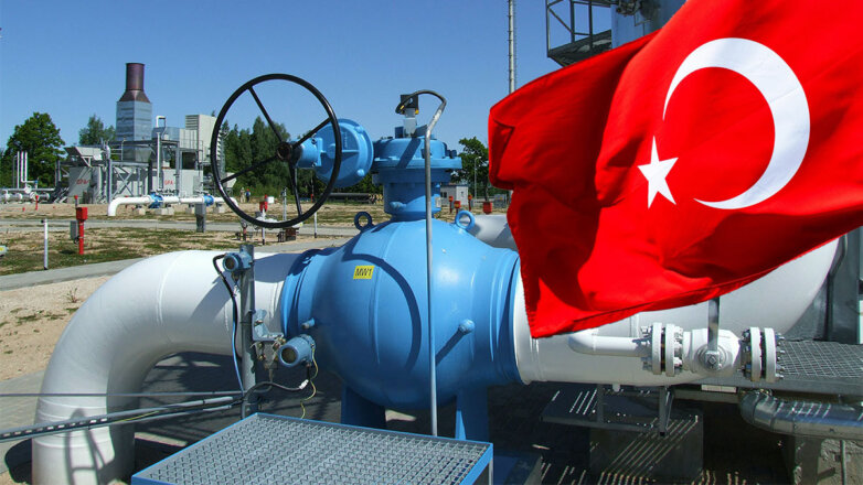 Эрдоган заявил о договоренности с Путиным создать газовый хаб в Турции