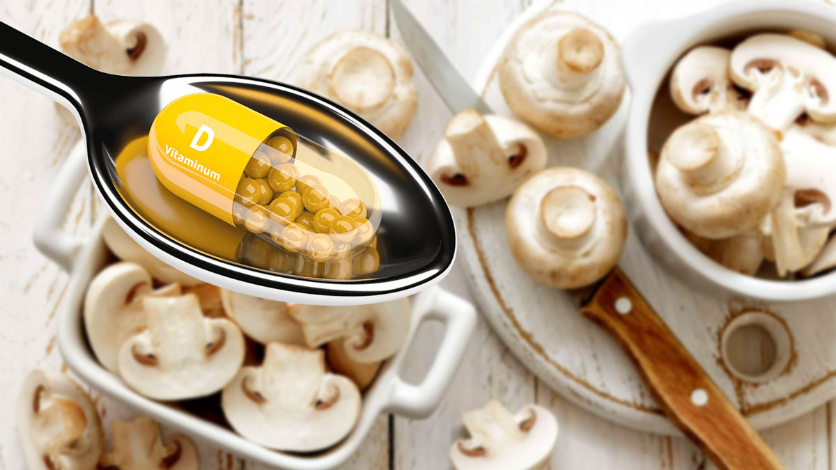 Содержание витамина D в грибах