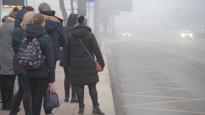 Туман в Москве: ГИБДД призвала отказаться от поездок на личных автомобилях