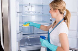 Как отмыть холодильник от желтизны: простые, но рабочие методы