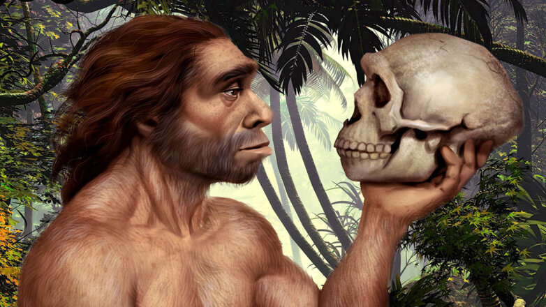 Названа основная версия исчезновения неандертальцев
