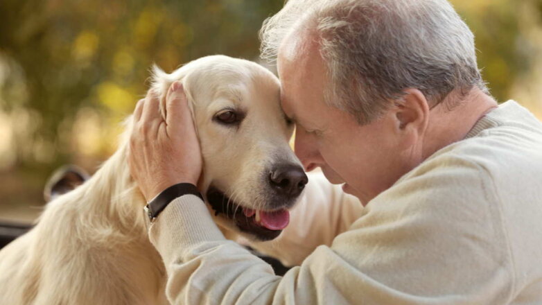 968454 пожилой человек собака Ретривер старение старость продолжительность жизни собаки