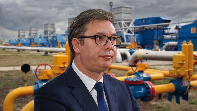 Президент Сербии рассказал о выгоде от сотрудничества с Россией по газу