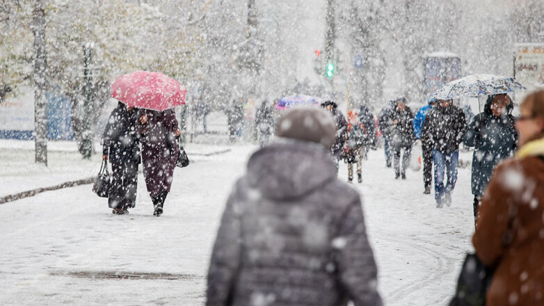 Москвичей предупредили о рекордном мокром снегопаде и штормовом ветре