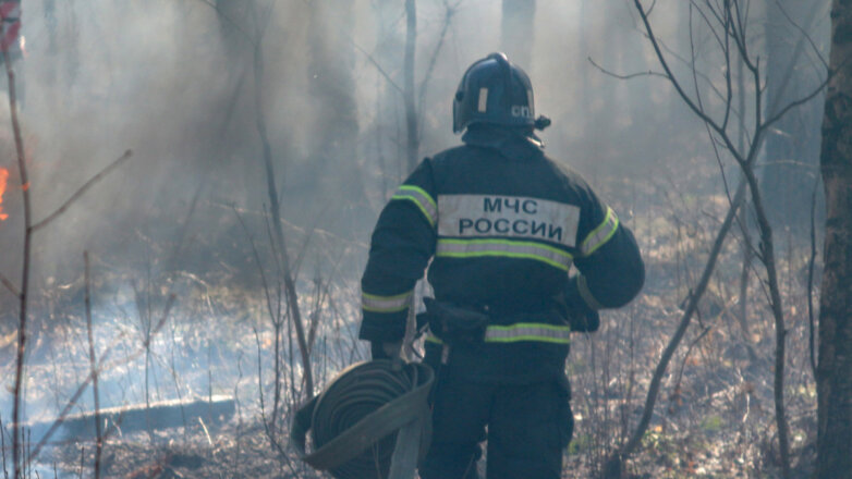 На месте крушения Ан-12 в Иркутской области нашли пятерых погибших