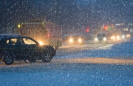 Снегопад продлится больше суток: москвичей попросили отказаться от личного транспорта из-за непогоды