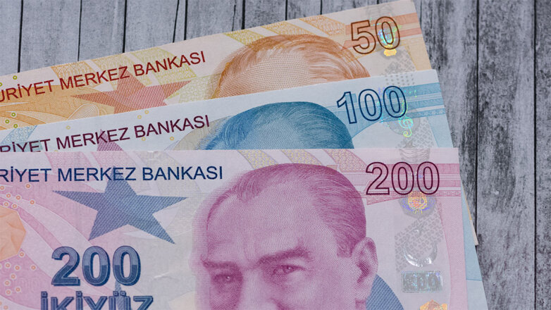 Курс турецкой валюты рухнул до исторического минимума