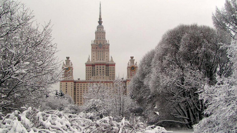 Синоптик объяснил появление на деревьях в Москве редкой изморози