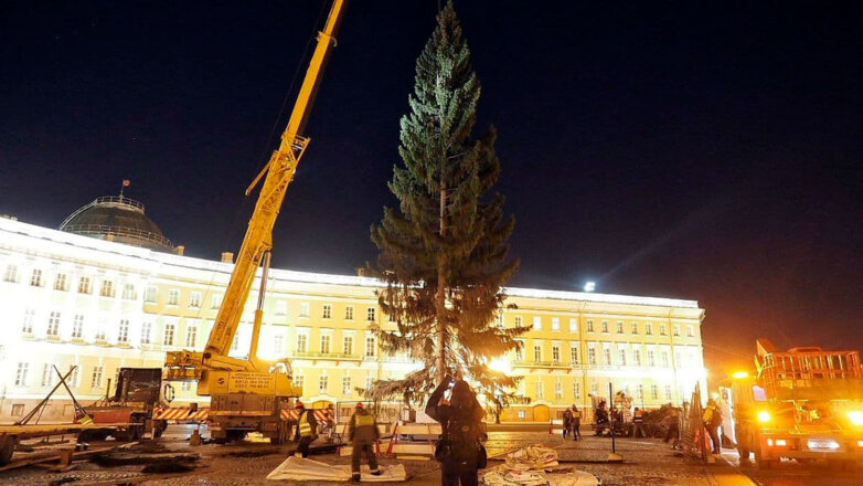 Главная новогодняя ель Петербурга прибыла на Дворцовую площадь