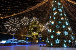 Синоптик рассказала о погоде в Подмосковье в новогоднюю ночь