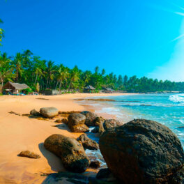 Шри-Ланка сохранит визу для туристов из России бесплатной