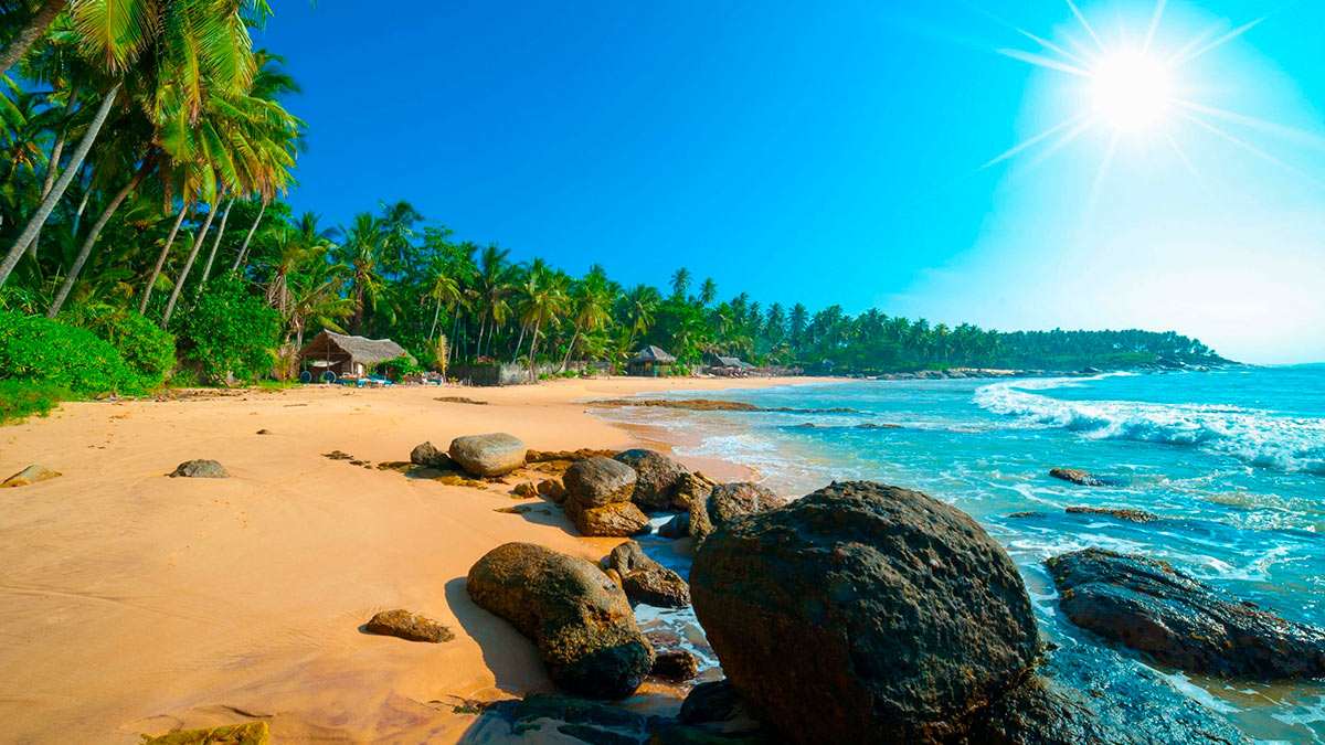 Шри-Ланка сохранит визу для туристов из России бесплатной