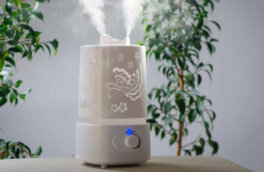 "Убивают" пользу: 7 неудачных мест в доме, куда увлажнитель воздуха лучше не ставить