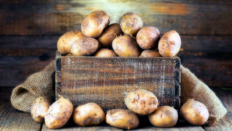 Храним картошку правильно: как уберечь урожай от гнили и мороза
