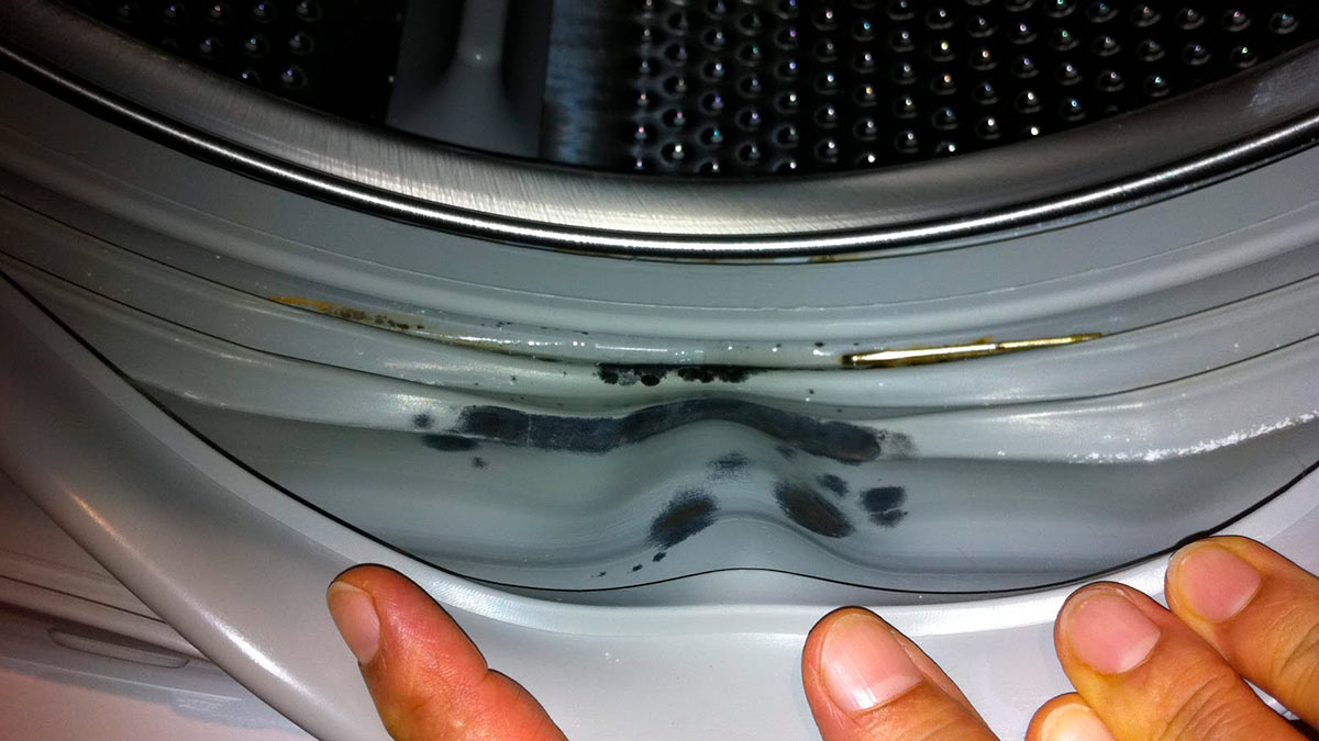 плесень в стиральной машине