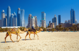 Россиянам рассказали о летних скидках до 40% на туры в Дубай