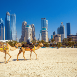 Россиянам рассказали о летних скидках до 40% на туры в Дубай
