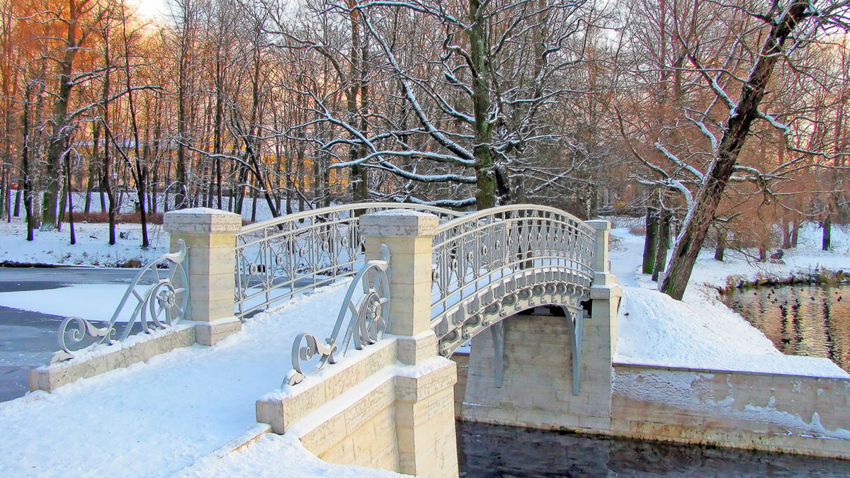 павловский парк санкт петербург зимой