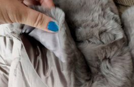 Как правильно постирать меховой воротник, чтобы не испортить: простые хитрости