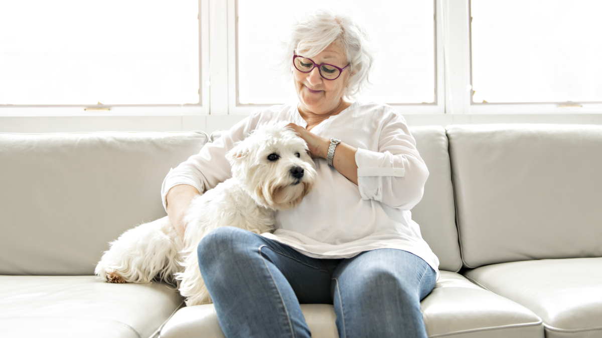 Милые и спокойные: 6 пород собак для пожилых людей