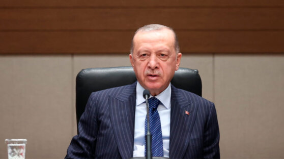 Эрдоган обсудил с Зеленским переговорный процесс между Россией и Украиной