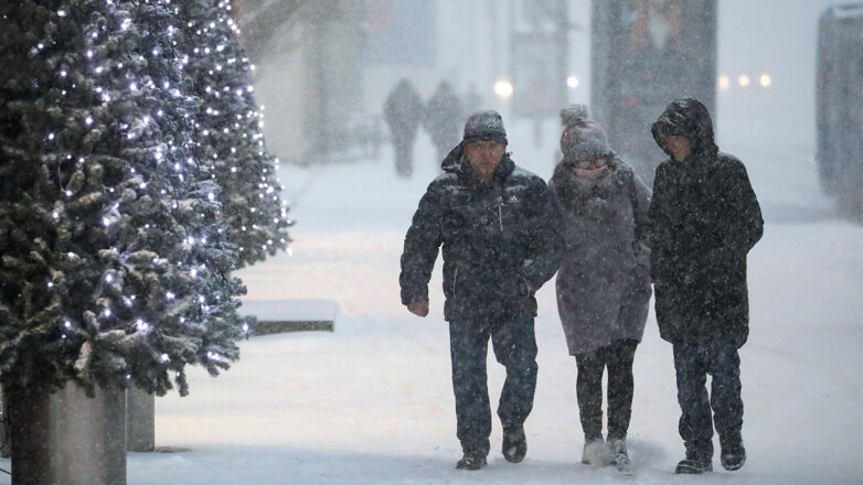 Ненастный циклон "Ида" принесет в Центральную Россию снегопады