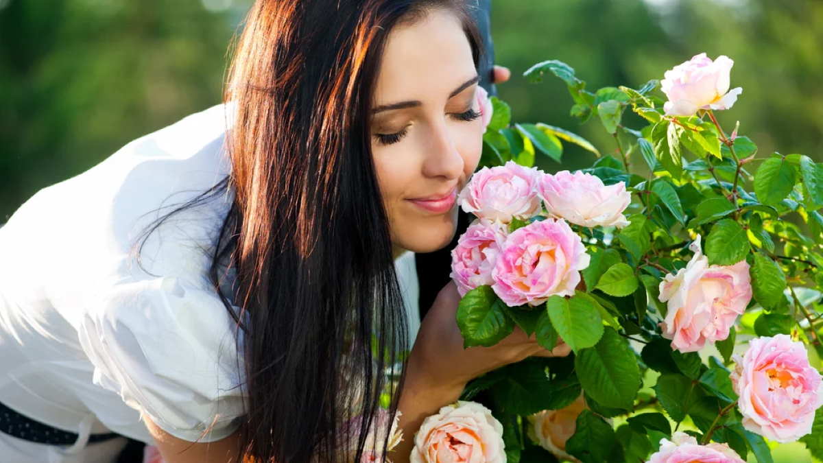 девушка нюхает розы
