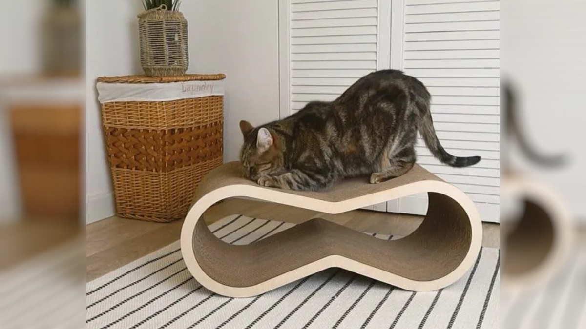Trixie Cat - Трикси Кэт когтеточка на стену для кошек